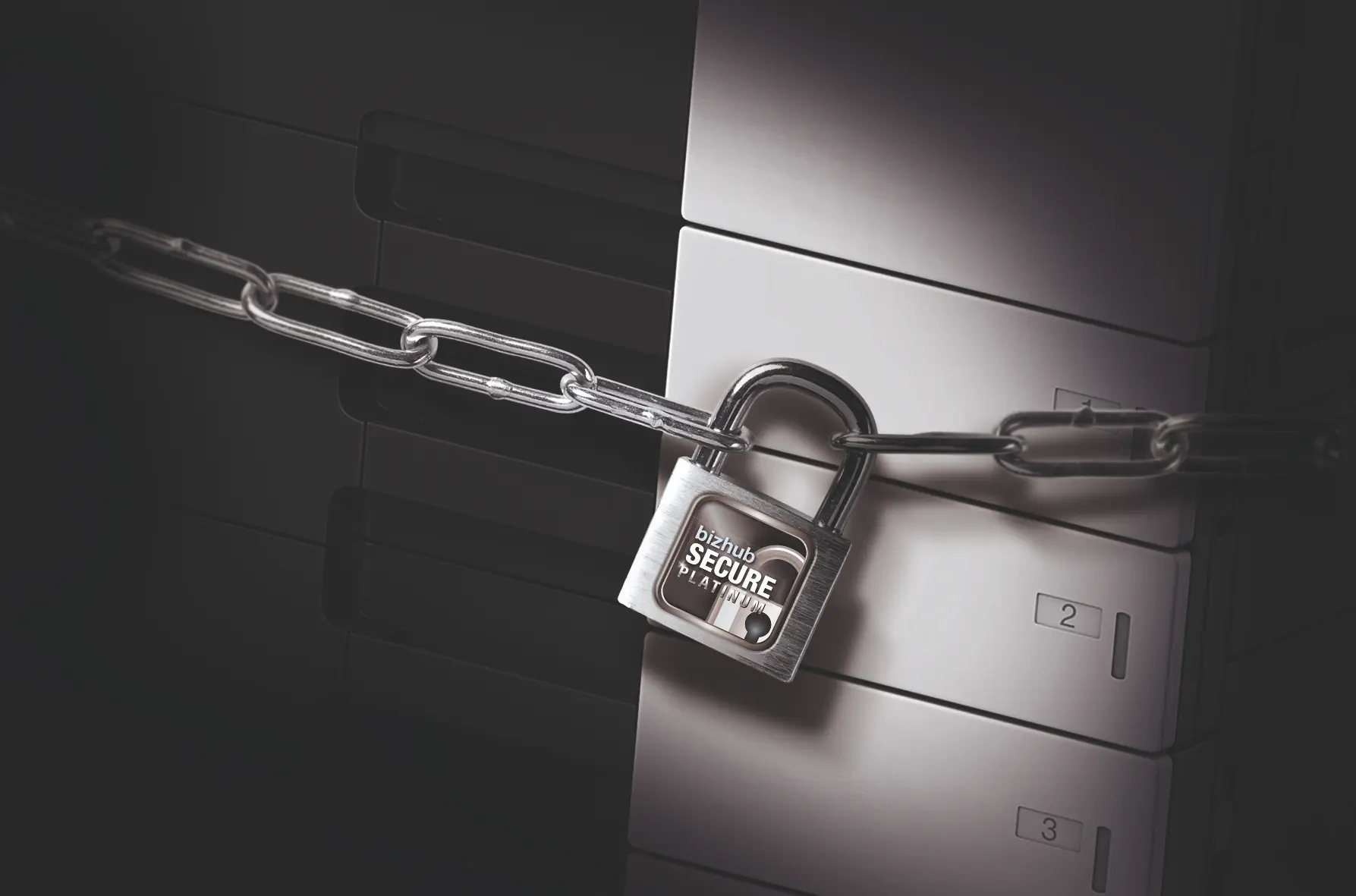 bizhub SECURE Platinum